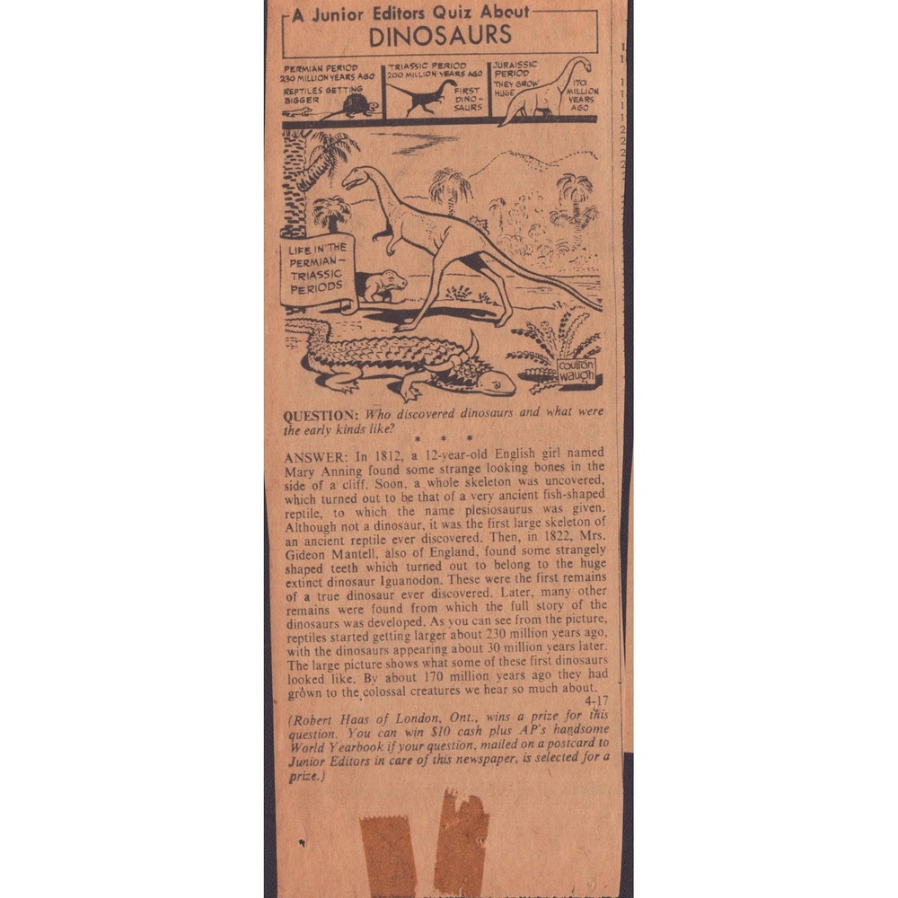 12 Vintage Junior Editors Quiz Newspaper Clippings Science Nature Ephemera Lot - Picture 5 of 14